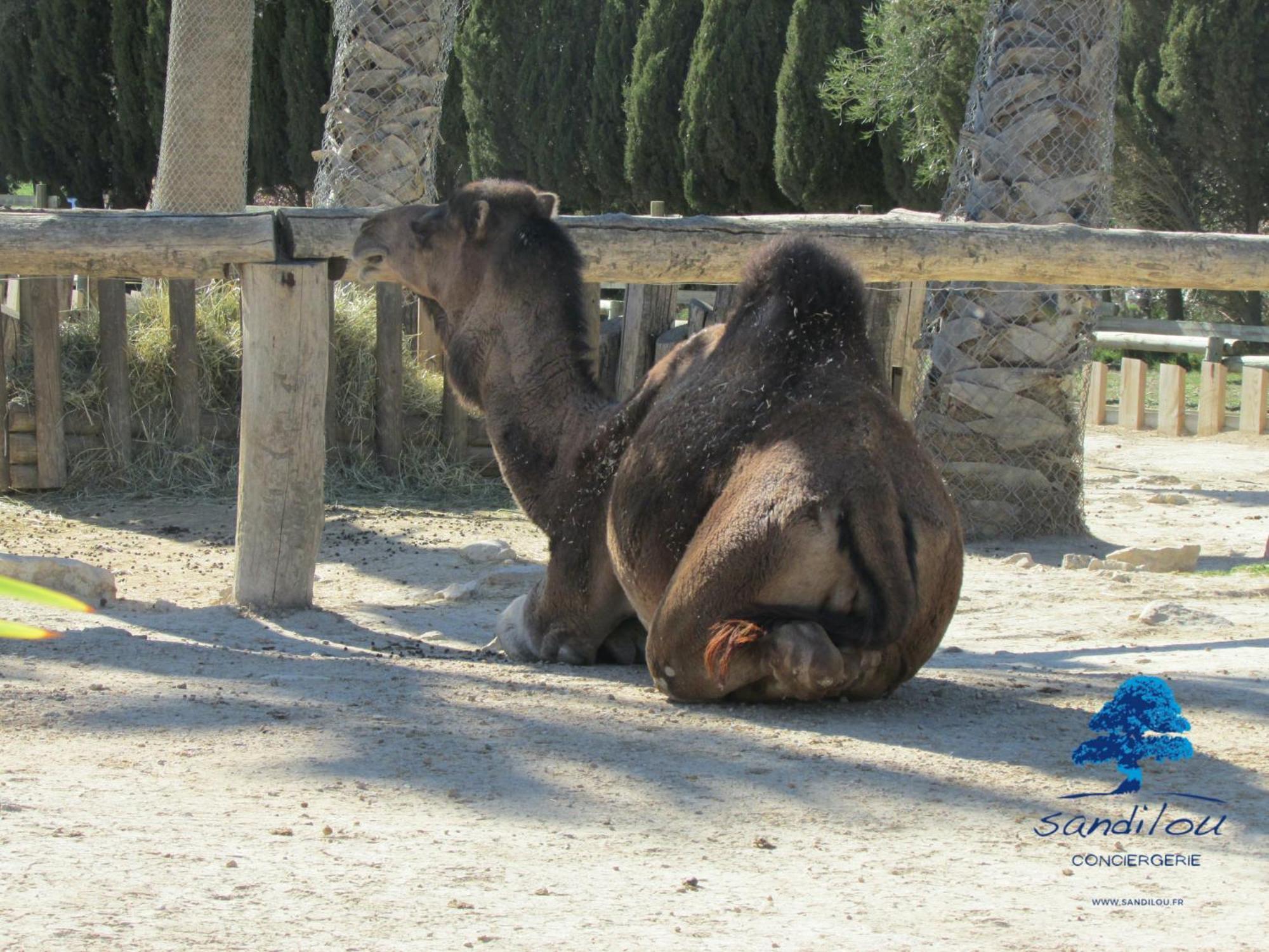 Sandilou Lespetitsbonheurs 2 Chambres Climatise Tv Sigean Εξωτερικό φωτογραφία